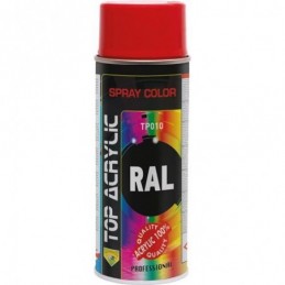 PINTURA SPRAY TOP RAL 2004...